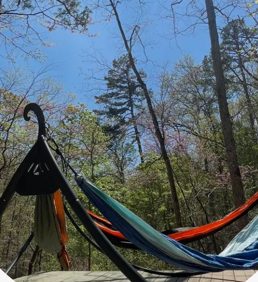 Onsite Hammock Tree