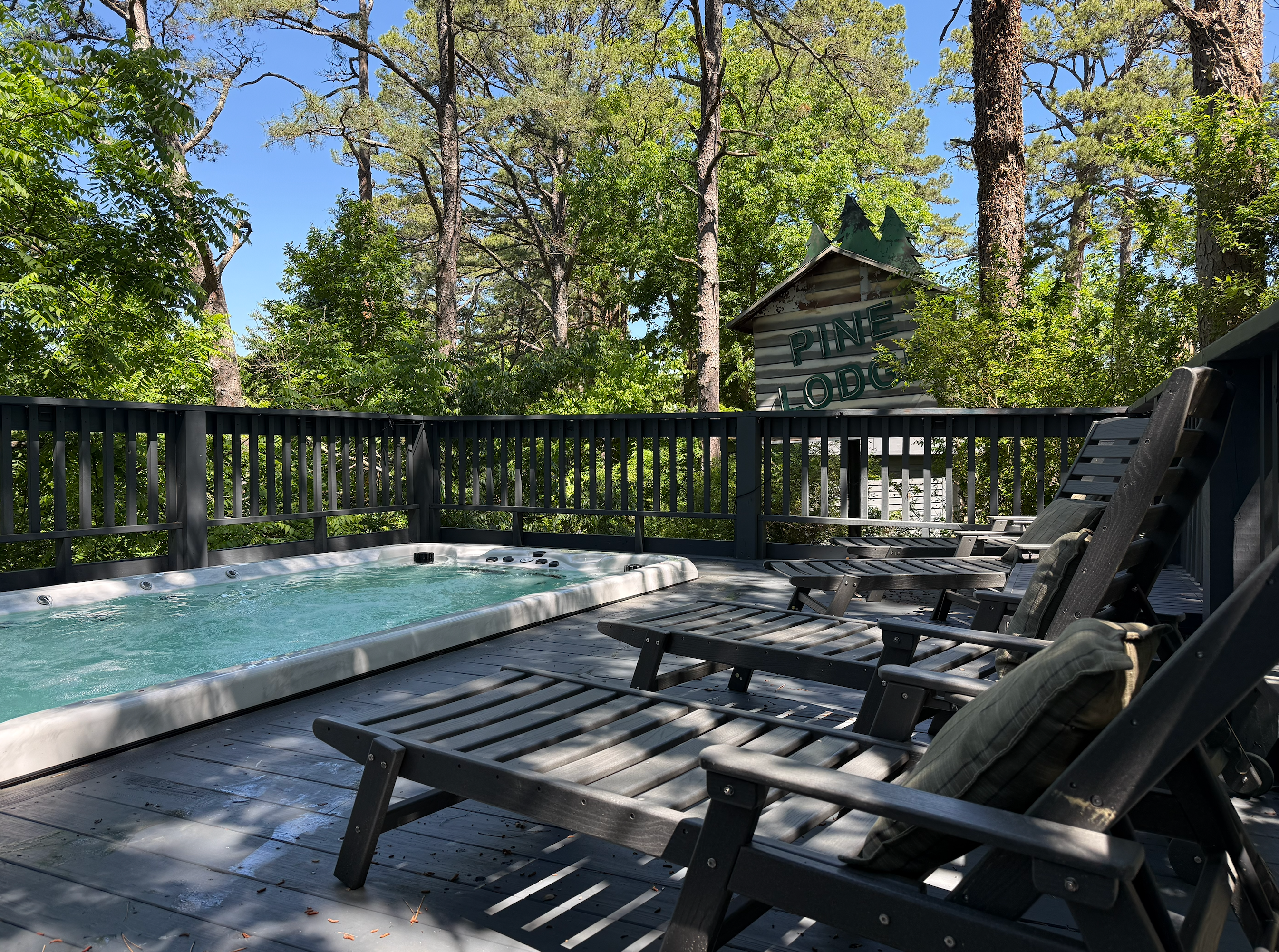 Swim Spa