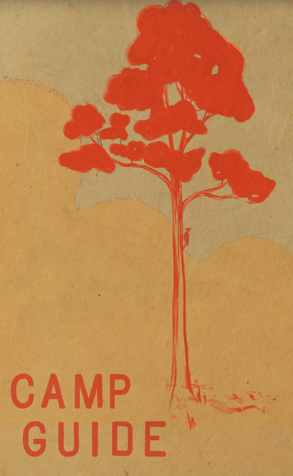 Camp Guide